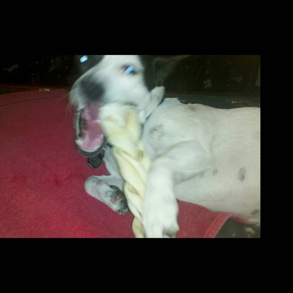 Meet your Posher, Robert - Picture 1 of 1